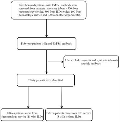 Interstitial Lung Disease Is a Major Characteristic of Patients Who Test Positive for Anti-PM/Scl Antibody